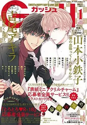 Magazine GUSH (GUSH(ガッシュ) 2022年 01 月号 [雑誌]) 