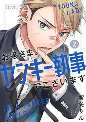Manga Set Ojou-sama, Yankee Shitsuji de Gozaimasu (2) (お嬢さま、ヤンキー執事でございます コミック 1-2巻セット)  / Niiya Rin
