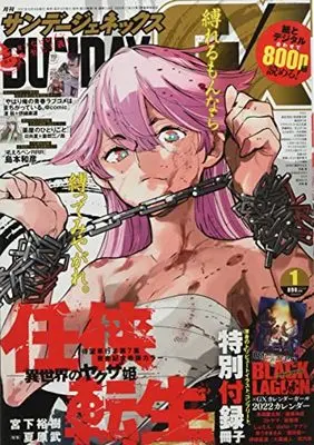 Magazine Monthly Sunday GX (月刊サンデージェネックス 2022年 01 月号 [雑誌]) 