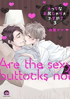 Manga Ecchi na Oshiri Ja Dame desu ka? vol.3 (えっちなお尻じゃダメですか? (3) (GUSH COMICS))  / Hatoya Tama