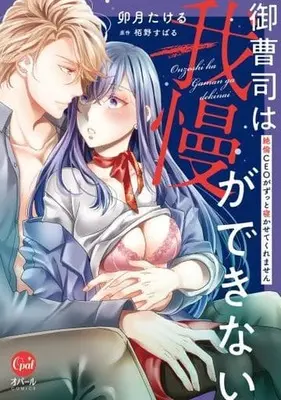 Manga Onzoushi Wa Gaman Ga Dekinai: Zetsurin Ceo Ga Zutto Nekasete Kuremasen (御曹司は我慢ができない 絶倫CEOがずっと寝かせてくれません)  / Uzuki Takeru