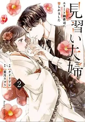 Manga Minarai Fuufu ~Elite Onzoushi ni Metoraremashita~ vol.2 (見習い夫婦~エリート御曹司に娶られました~ 2 (Berry's COMICS))  / Chidori Ashi