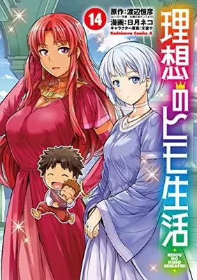 Manga The Ideal Sponger Life (Risou no Himo Seikatsu) vol.14 (理想のヒモ生活 (14) (角川コミックス・エース))  / Hinotsuki Neko