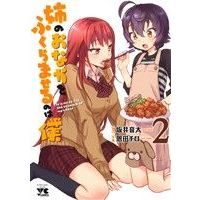 Manga Ane no Onaka o Fukuramaseru wa Boku vol.2 (姉のおなかをふくらませるのは僕(2))  / Onda Chiro & Sakai Onta