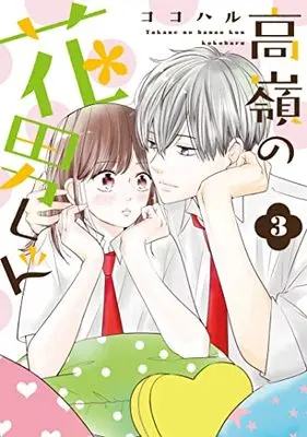 Manga Takane no Hanao-kun vol.3 (高嶺の花男くん 3 (Colorful! コミックス))  / Kokoharu