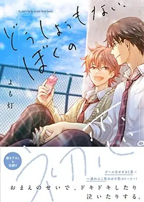 Manga Doushiyoumonai, Boku no Hatsukoi (どうしようもない、ぼくの初恋。 (B's-LOVEY COMICS))  / Yomobi
