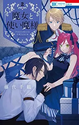 Manga Majo To Tsukaima-Sama vol.2 (魔女と使い魔様 2 (花とゆめコミックス))  / Fujishiro Chizuru