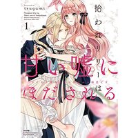 Manga Hiroware Lily Wa Amai Uso Ni Hodasareru Wakeari Kizoku-Sama Wa Shoya Kara Dekiaidesu vol.1 (拾われリリーは甘い嘘にほだされる ワケあり貴族さまは初夜から溺愛です (1) (ぶんか社コミックス Sgirl Selection))  / Tsugumi (Ii)