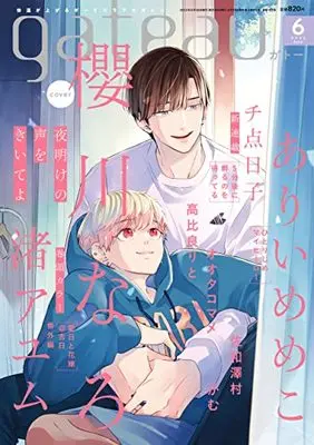 Magazine gateau (gateau2022年6月号) 