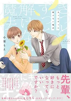 Manga Kitto Zutto Tokenai Mahou (きっとずっと解けない魔法 (バーズコミックス ルチルコレクション))  / Oguri Moe