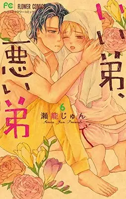 Manga Ii Otouto, Warui Otouto vol.6 (いい弟、悪い弟(6): フラワーコミックス)  / 瀬能じゅん