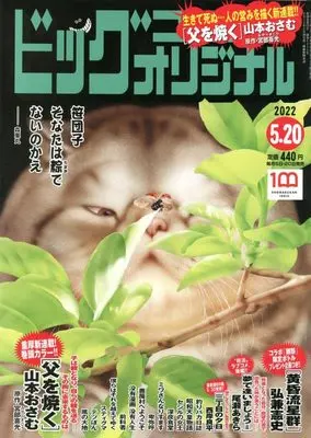 Magazine Big Comic Original (ビッグコミックオリジナル 2022年 5/20 号 [雑誌]) 