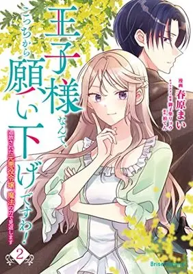 Manga Ouji-sama Nante, Kocchi Kara Negaisage Desu wa! - Tsuihou Sareta Moto Akuyaku Reijou, Mahou no Chikara de Mikaeshimasu vol.2 (王子様なんて、こっちから願い下げですわ! ~追放された元悪役令嬢、魔法の力で見返します~ 2 (ブリーゼコミックス))  / Kashiwa Ten & Sunohara Mai & 御子柴リョウ