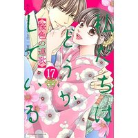 Manga Set We Are Not Ourselves Today (Watashitachi wa Douka shiteiru) (17) (私たちはどうかしている コミック 1-17巻セット)  / Andou Natsumi