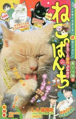 Manga Neko Panch (ねこぱんち 長ぐつ猫号 (にゃんCOMI))  / Anthology