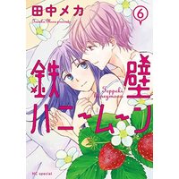 Manga Set Teppeki Honeymoon (6) (鉄壁ハニームーン コミック 1-6巻セット)  / Tanaka Meca