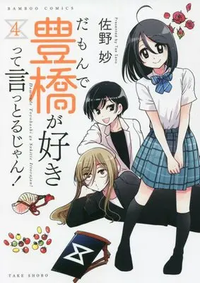 Manga Damon de Toyohashi ga Suki tte Ittoru jan! vol.4 (だもんで豊橋が好きって言っとるじゃん! (4) (バンブーコミックス))  / Sano Tae