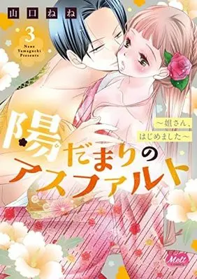 Manga Set Hidamari no Asufaruto (3) (陽だまりのアスファルト ～姐さん、はじめました～ コミック 1-3巻セット)  / Yamaguchi Nene