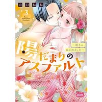 Manga Set Hidamari no Asufaruto (3) (陽だまりのアスファルト ～姐さん、はじめました～ コミック 1-3巻セット)  / Yamaguchi Nene