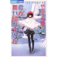 Manga You Came Floating Down (Kimi ga Mai Orite Kita) (君が舞い降りてきた)  / Yabuuchi Yuu
