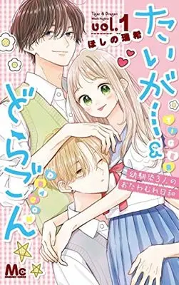 Manga Tiger & Dragon vol.1 (たいがー&どらごん 1 (マーガレットコミックス))  / Hoshino Mizuki