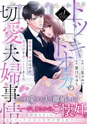 Manga Totsuki Tooka no Setsuai Fuufu Jijou vol.1 (トツキトオカの切愛夫婦事情~最後の一夜のはずが、愛の証を身ごもりました~ 1 (ベリーズコミックス))  / Mihoshi Mayuha