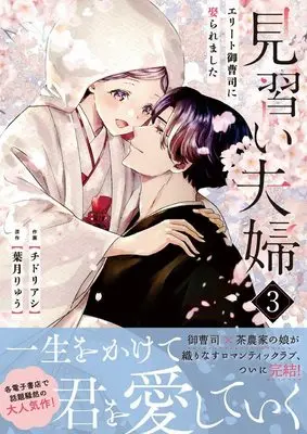 Manga Minarai Fuufu ~Elite Onzoushi ni Metoraremashita~ vol.3 (見習い夫婦~エリート御曹司に娶られました~ 3 (ベリーズコミックス))  / Chidori Ashi