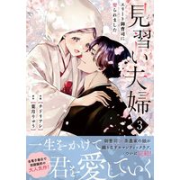 Manga Minarai Fuufu ~Elite Onzoushi ni Metoraremashita~ vol.3 (見習い夫婦~エリート御曹司に娶られました~ 3 (ベリーズコミックス))  / Chidori Ashi