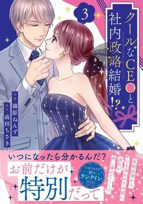 Manga Cool na CEO to Shanai Seiryaku Kekkon!? vol.3 (クールなCEOと社内政略結婚!? 3 (ベリーズコミックス))  / Nyanbara Nenzu