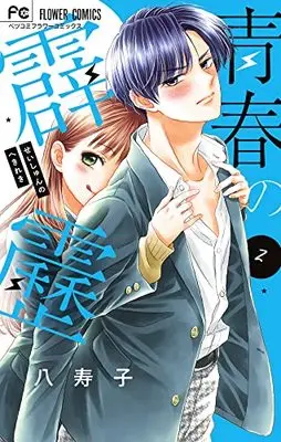 Manga Seishun no Hekireki vol.2 (青春の霹靂(2): フラワーコミックス)  / Yasuko