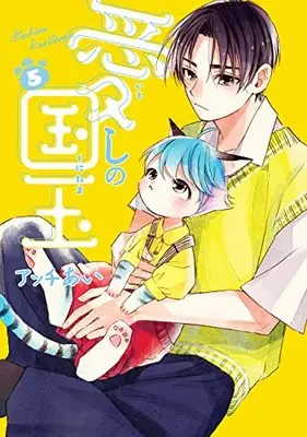 Manga Itoshi no Kunitama vol.5 (愛しの国玉 5 (シルフコミックス))  / Acchi Ai