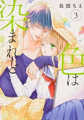 Manga Iro wa Somaredo vol.3 (色は染まれど3 (シルフコミックス))  / Shimada Chie