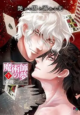 Manga Namameku Yami to Oboreru Hikari Majutsu-shi no Yume (艶めく闇と溺れる光―魔術師の夢― 下 (enigma comics))  / Satsuki (沙槻)