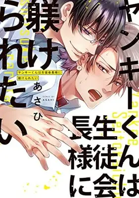 Manga Yankee-kun wa Seitokaichou-sama ni Shitsukeraretai (ヤンキーくんは生徒会長様に躾けられたい (プリンセス・コミックスDX カチCOMI))  / Asahi (あさひ)