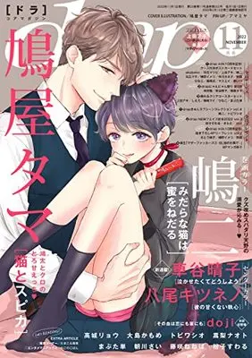 Magazine drap (drap(ドラ)2022年11月号) 