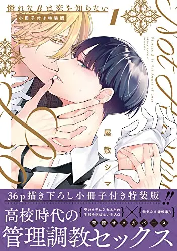 Special Edition Manga with Bonus Awarena β wa Koi wo Shiranai vol.1 (憐れなβは恋を知らない 1小冊子付き特装版 (Tulle Comics))  / Yashiki Shima