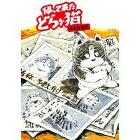 Manga The Return of Doran-Cat (Kaettekita Doranko) (帰って来たどらン猫(文庫版))  / Haruki Etsumi