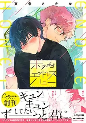 Manga Houkago Endless Honey (ホウカゴ・エンドレスハニー (Continuer.))  / Tojo Sakana