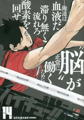Manga Haikyu!! (Shueisha Jump Remix Ver.) vol.14 (ハイキュー!! 14: 集英社REMIX (集英社ジャンプリミックス))  / Furudate Haruichi