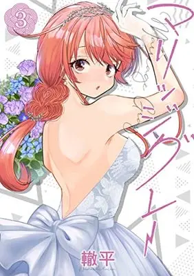 Manga Marriage Gray vol.3 (マリッジグレー 3 (ヤングジャンプコミックス))  / Wadachi Taira