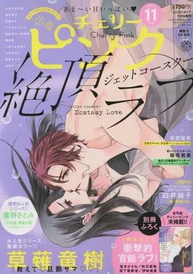 Magazine Renai Cherry Pink (恋愛チェリーピンク 2022年 11 月号 [雑誌]: エレガンスイブ 増刊) 