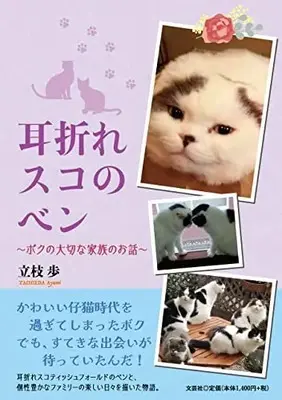 Manga Mimiore Sco no Ben (耳折れスコのベン ～ボクの大切な家族のお話～)  / 立枝 歩