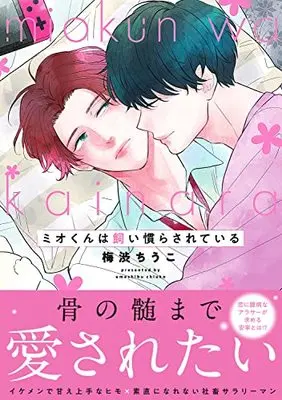 Manga Mio-kun wa Kainarasareteiru (ミオくんは飼い慣らされている (B's-LOVEY COMICS))  / 梅渋 ちうこ