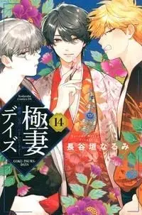 Manga Set Gokutsuma Days: Gokudou Sankyoudai ni Semararetemasu (15) (極妻デイズ～極道三兄弟にせまられてます～ コミック 全15巻セット)  / Hasegaki Narumi