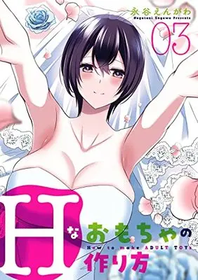 Manga H na Omocha no Tsukurikata vol.3 (Hなおもちゃの作り方(3)(完) (ヤングガンガンコミックス))  / Nagatani Engawa