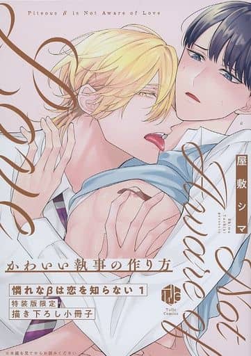 Manga appendix Awarena β wa Koi wo Shiranai vol.1 (特装版小冊子のみ)憐れなβは恋を知らない(1)特装版限定描き下ろし小冊子 かわいい執事の作り方)  / Yashiki Shima