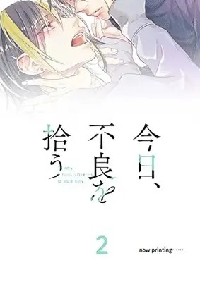 Manga Kyou, Furyo wo Hirou vol.2 (今日、不良を拾う 2 (ジーンピクシブシリーズ))  / Nanao