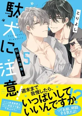 Manga Daken ni Chuui！ vol.5 (駄犬に注意! 第5巻 (あすかコミックスCLｰDX))  / Tori Yoshi