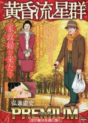 Manga Like Shooting Stars in the Twilight (Tasogare Ryuuseigun) (【廉価版】黄昏流星群プレミアム 汝が星は永遠に煌く)  / Hirokane Kenshi