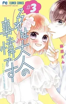 Manga Sore wa Otona no Jijou desu vol.3 (それは大人の事情です(3): フラワーコミックス)  / 藤原えみ